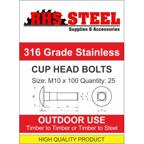 Cup-Head-Bolts-M10x100-min