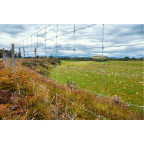 cattle-fencing-sydney-nsw